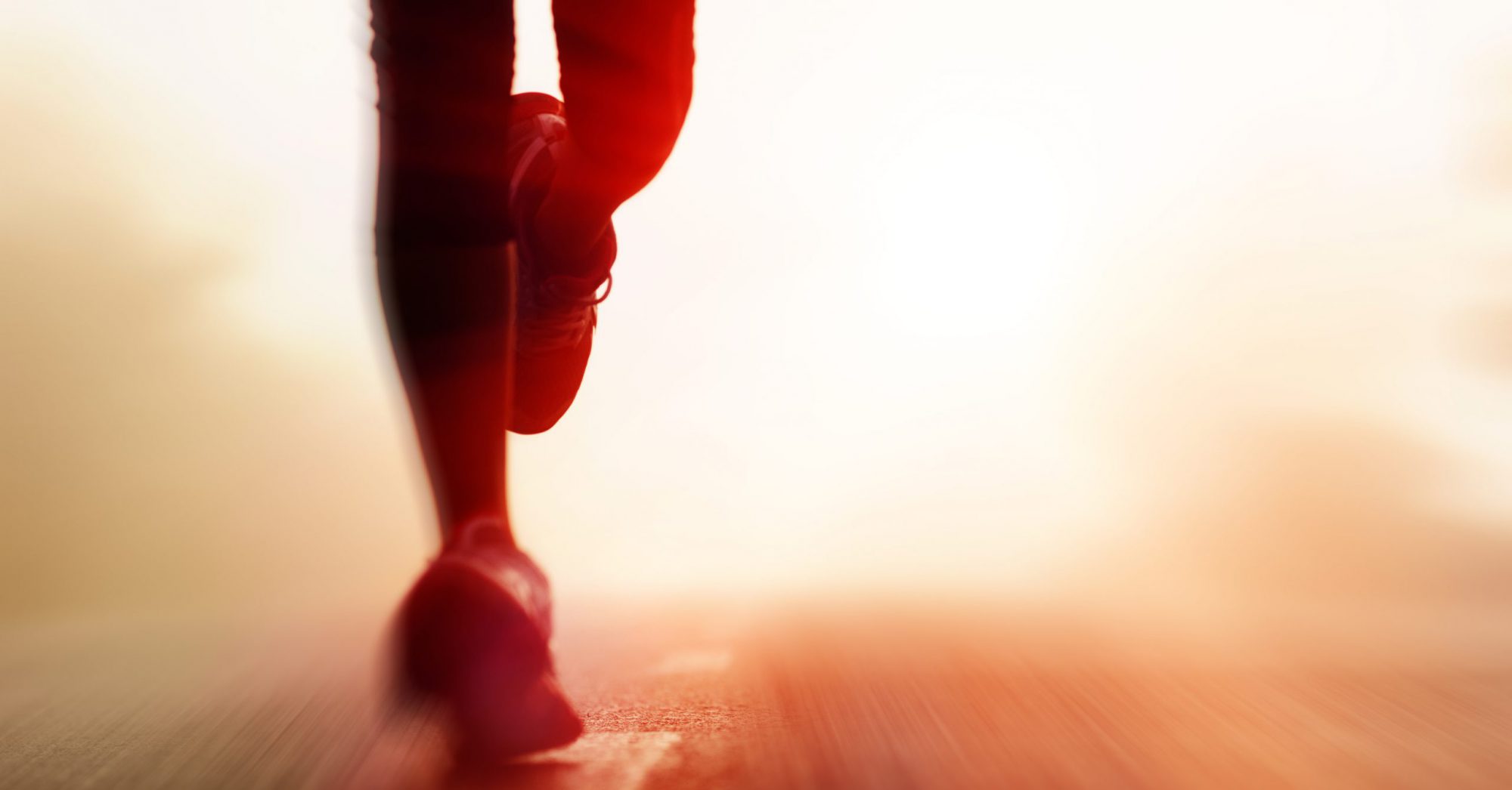 Auf welche Kauffaktoren Sie beim Kauf von Mentaltraining für reiter Acht geben sollten!